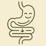 Icono de sistema digestivo sano para aliviar la hinchazón en la menopausia.